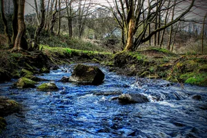 Bäche können in den nächsten Tagen wegen der grossen Regenmengen und zusätzlichem Schmelzwasser über die Ufer treten.