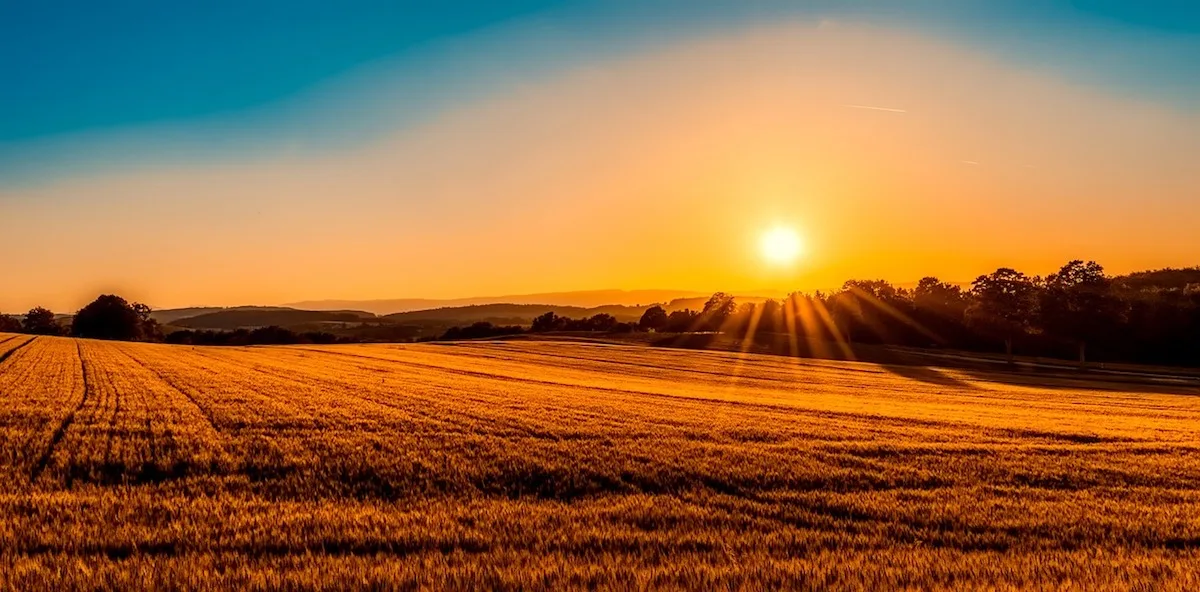 4f5ca3c160f4dc76c985abfe68c4d89154f526c6 Die Hofübernahme ist für Abgebende und Abnehmende eine grosse Herausforderung. Bild: pixabay