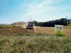 Die Saat-Bedingungen sind entscheidend für den Erfolg einer Wiese. Ein früher Saat-Beginn im Juli ist für die junge Saat ein Risiko.