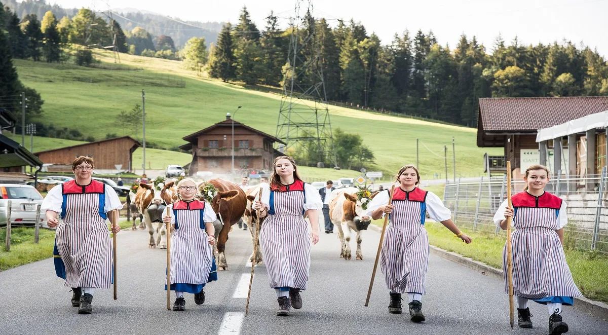 2e1fd791df643d19916753ca8c37951817f1bb34 Die Tiere werden für den Abzug bunt geschmückt. (Bild Schwarzsee Tourismus)