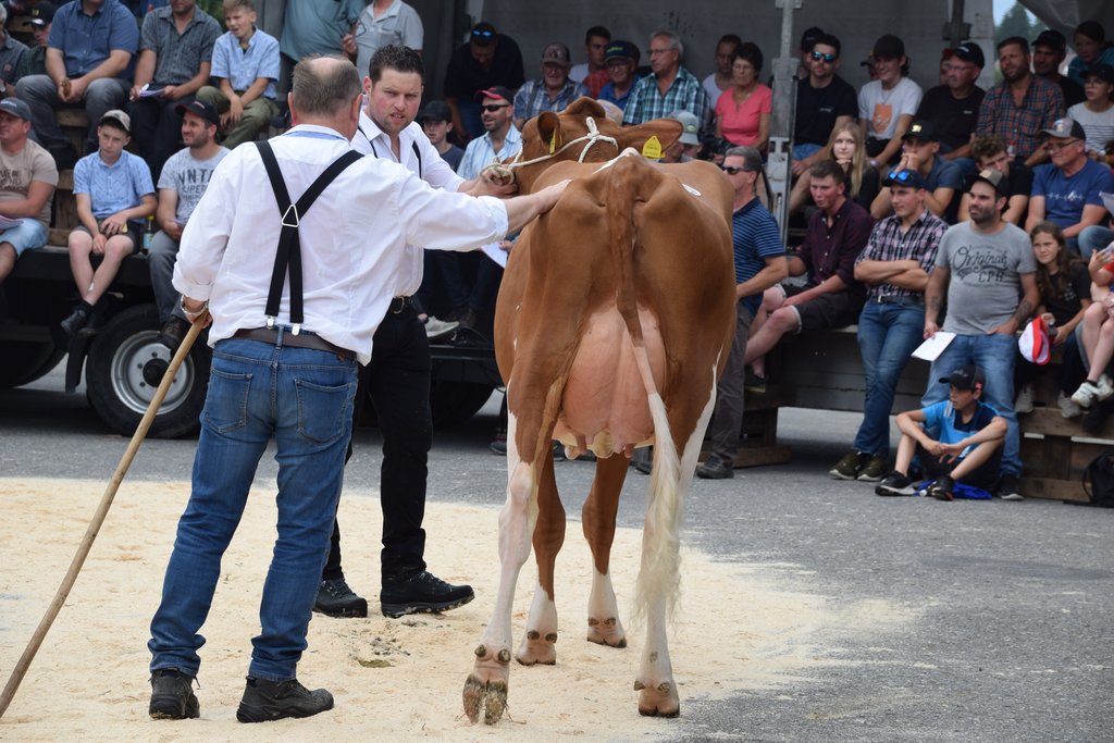 Rote Attraction-Tochter löste den stolzen Preis von 8900 Franken