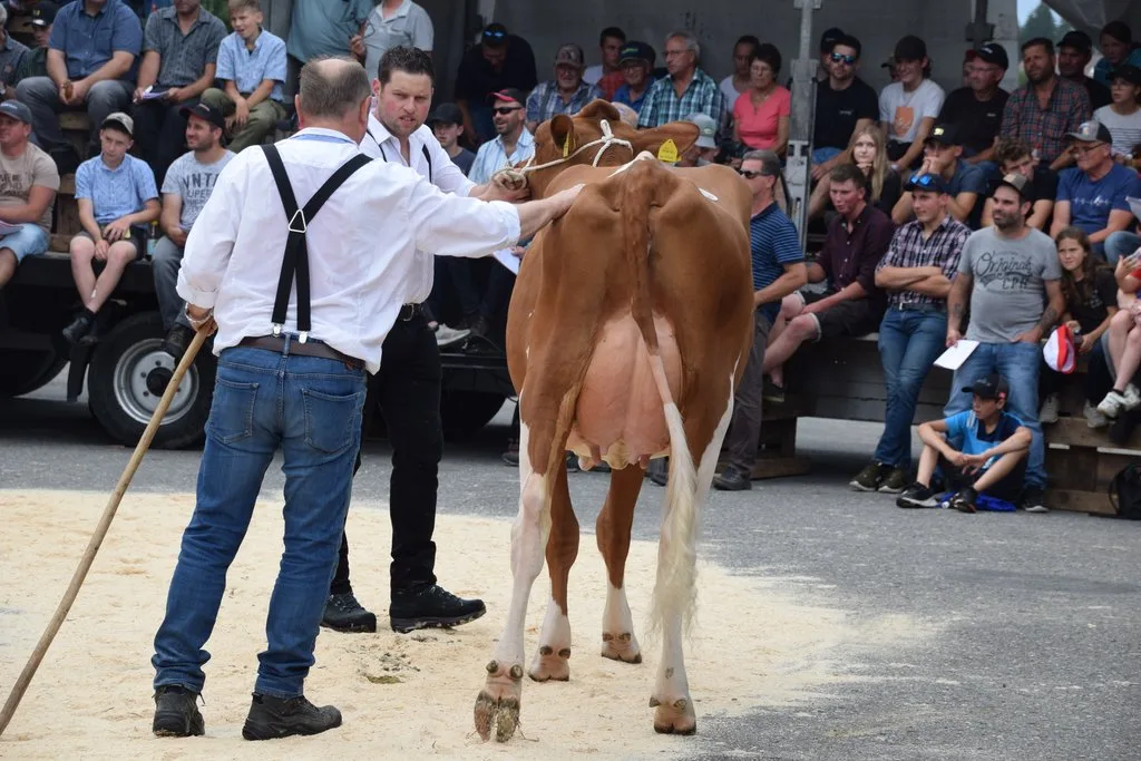 DSC_0097 Rote Attraction-Tochter löste den stolzen Preis von 8900 Franken