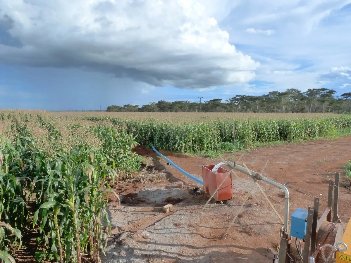 GW_fed_irrigation_Kabwe_Zambia Global sinkender Grundwasserspiegel