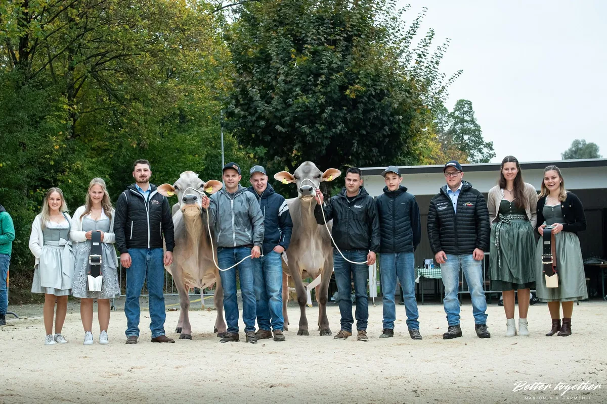 Champion BS Die beiden schönsten Entlebucher BS-Kühe auf einem Bild: Links die Vize Biniam Chili von Goldhill Genetics, rechts Tagessiegerin Jongleur Janina von Pascal und Franz Felder, Koni Pfulg und Matthias Nideröst.
