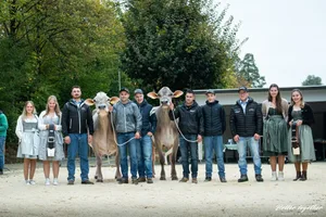 Die beiden schönsten Entlebucher BS-Kühe auf einem Bild: Links die Vize Biniam Chili von Goldhill Genetics, rechts Tagessiegerin Jongleur Janina von Pascal und Franz Felder, Koni Pfulg und Matthias Nideröst.