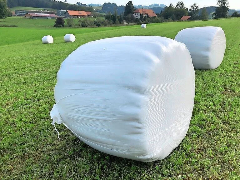 d56ea6c469fe66efadb29a3ef4c5ae8e68dcf0b6766f2f117bb0ab0eac361859 Mittlerweile werden über 30 Prozent der Siloballenfolien rezykliert – das Potenzial ist also immer noch gross.