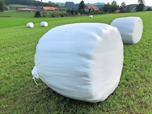 Mittlerweile werden über 30 Prozent der Siloballenfolien rezykliert – das Potenzial ist also immer noch gross.
