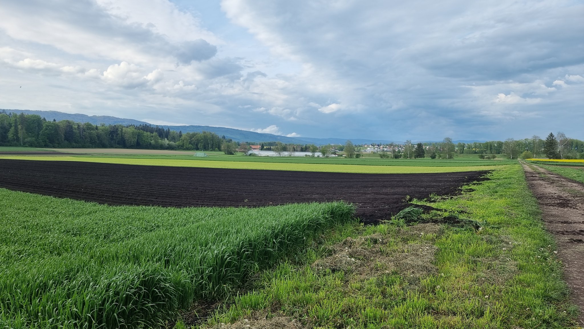 Westschweizer Bündnis will CO₂-Fussabdruck mindern