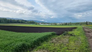 Ein Verfahren soll die CO₂-Emissionen von Landwirtschaftsbetrieben sowie die Speicherfähigkeit im Boden messen.