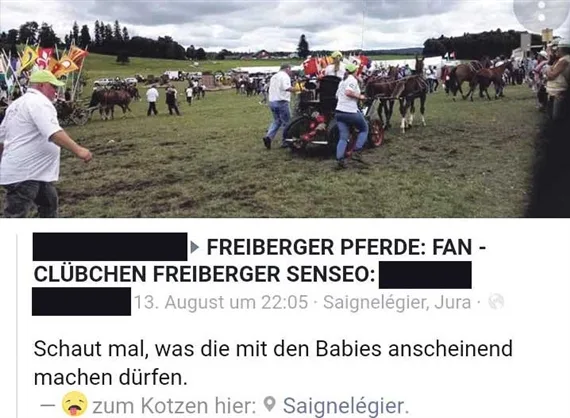 4325a96043735199f1ab484cceb8628d7d9cb836 Die Gespanne lösten viel Empörung in den sozialen Medien aus. (Bild Screenshot)