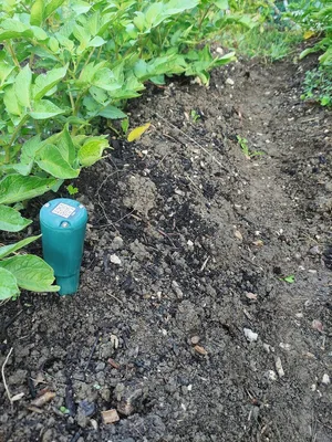 Die Cital-Sensoren helfen, die Temperatur und das Bodenwasserpotenzial zu überwachen. Sie sind wichtige Entscheidungshilfen bei der Bewässerung.