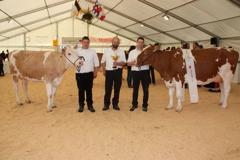 Freuen sich über den Starzüchtertitel (v. l. n. r.): Matthias, Hans und Res Staub aus Eriswil. (Bild: Simone Barth)