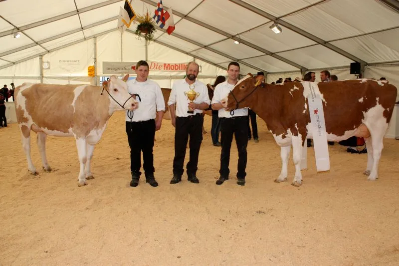 0c4cdba7e01f662aab990a2cd737cbc6c1b26559 Freuen sich über den Starzüchtertitel (v. l. n. r.): Matthias, Hans und Res Staub aus Eriswil. (Bild: Simone Barth)