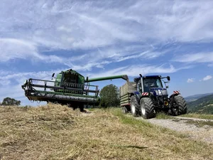 In den letzten Tagen konnten die Mähdrescher oft bei sonnigem und sommerlichem Wetter auffahren. Die nassen Monate zuvor sind dem Getreide aber nicht gut bekommen. Noch ist die Ernte nicht abgeschlossen und Zahlen daher nur vorläufige Schätzungen. Diese sehen aber schlecht aus.