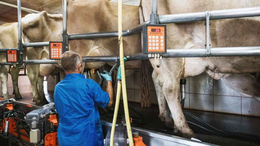 cca1c49125810e66124e37da7452b1314d12b9b4 Die Direktkosten haben einen Anteil von 30 bis 40 Prozent an den Vollkosten der Milchproduktion. Sie können durch Verbesserungen in der Produktionstechnik kurzfristig beeinflusst werden. (Bild SMP)