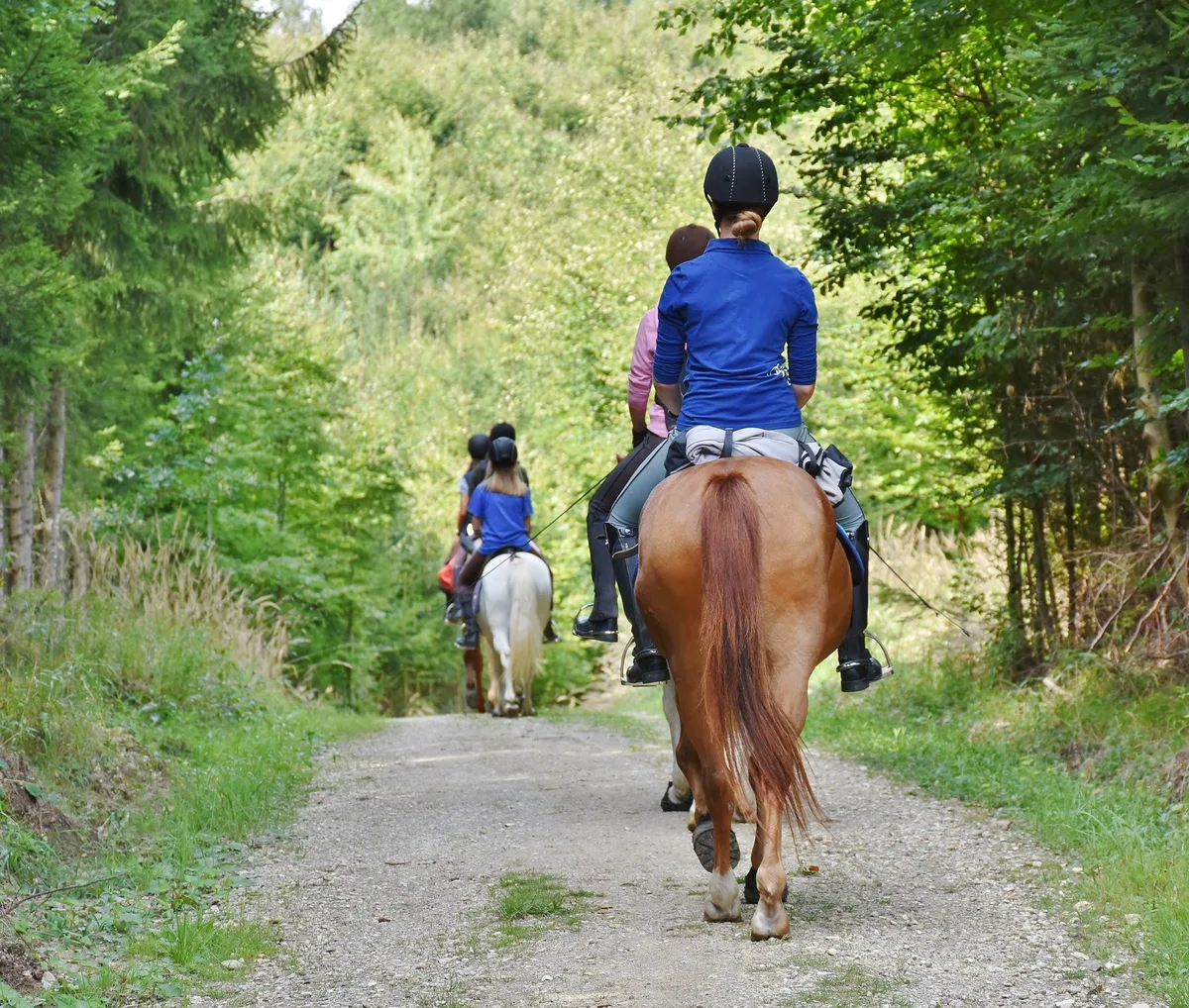 pony_sattel_ritaE Damit das Reitergewicht das Pferd nicht überlastet, sollte man genau hinschauen