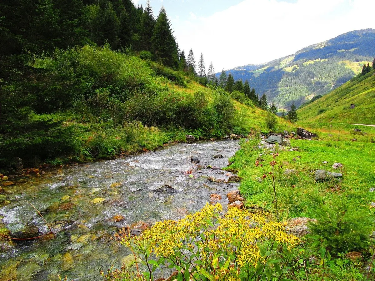 bach-berge Nationalratskommission stimmt knapp für verkleinerte Gewässerräume