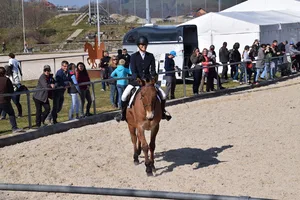 Tanja Spring aus Jeuss begeistert mit Maultier Fridolin. (Bild joy)