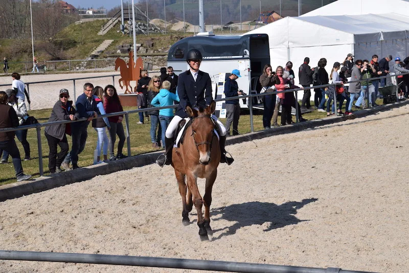 77aa5cc40fcfd59f522e89a060a32f62a3fb8484 Tanja Spring aus Jeuss begeistert mit Maultier Fridolin. (Bild joy)