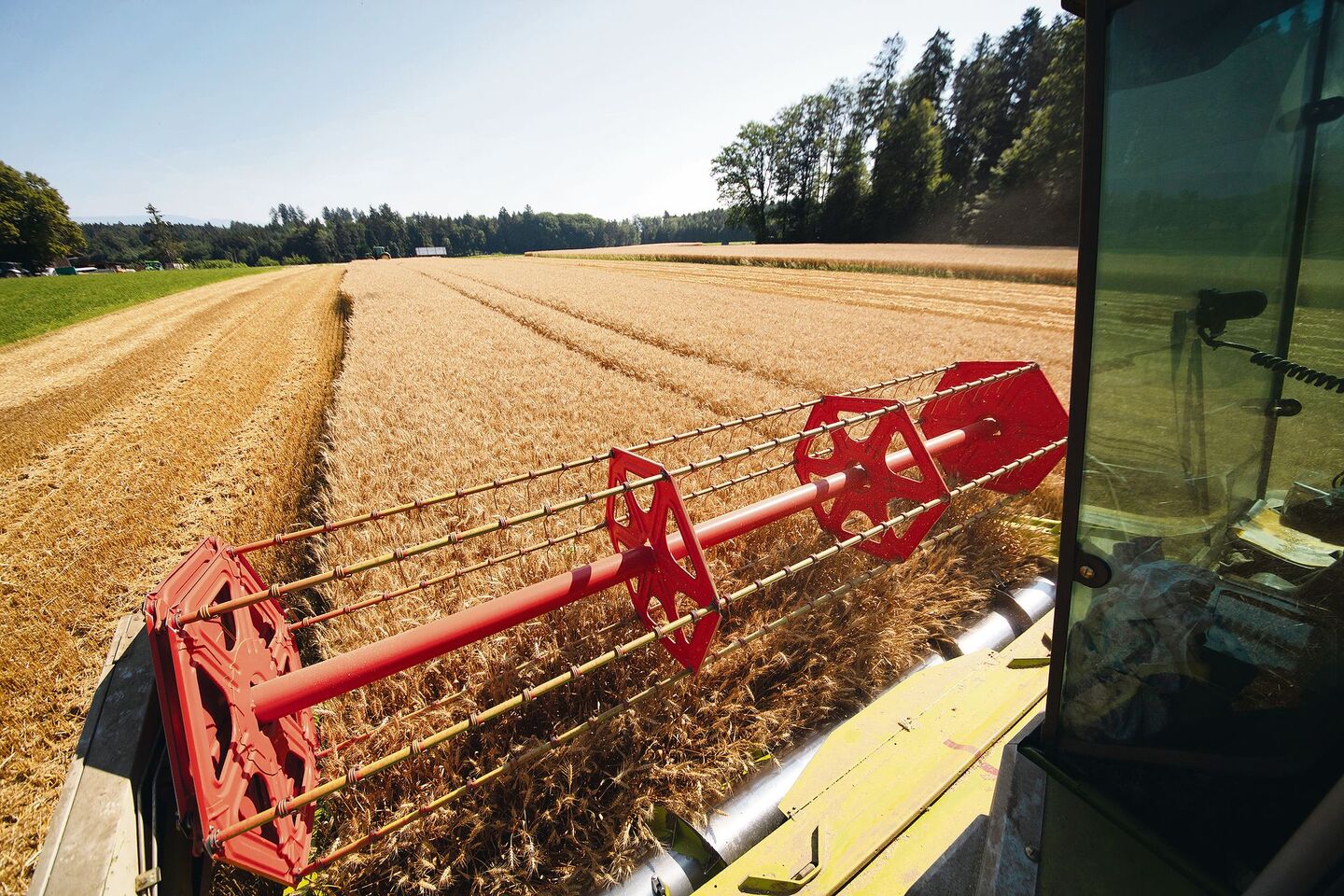 «Wir wollen die Lager sofort wieder mit hochwertiger Ware auffüllen», sagt Fritz Rothen. Deshalb sucht man neue Produzenten und fordert die bestehenden auf, mehr zu produzieren