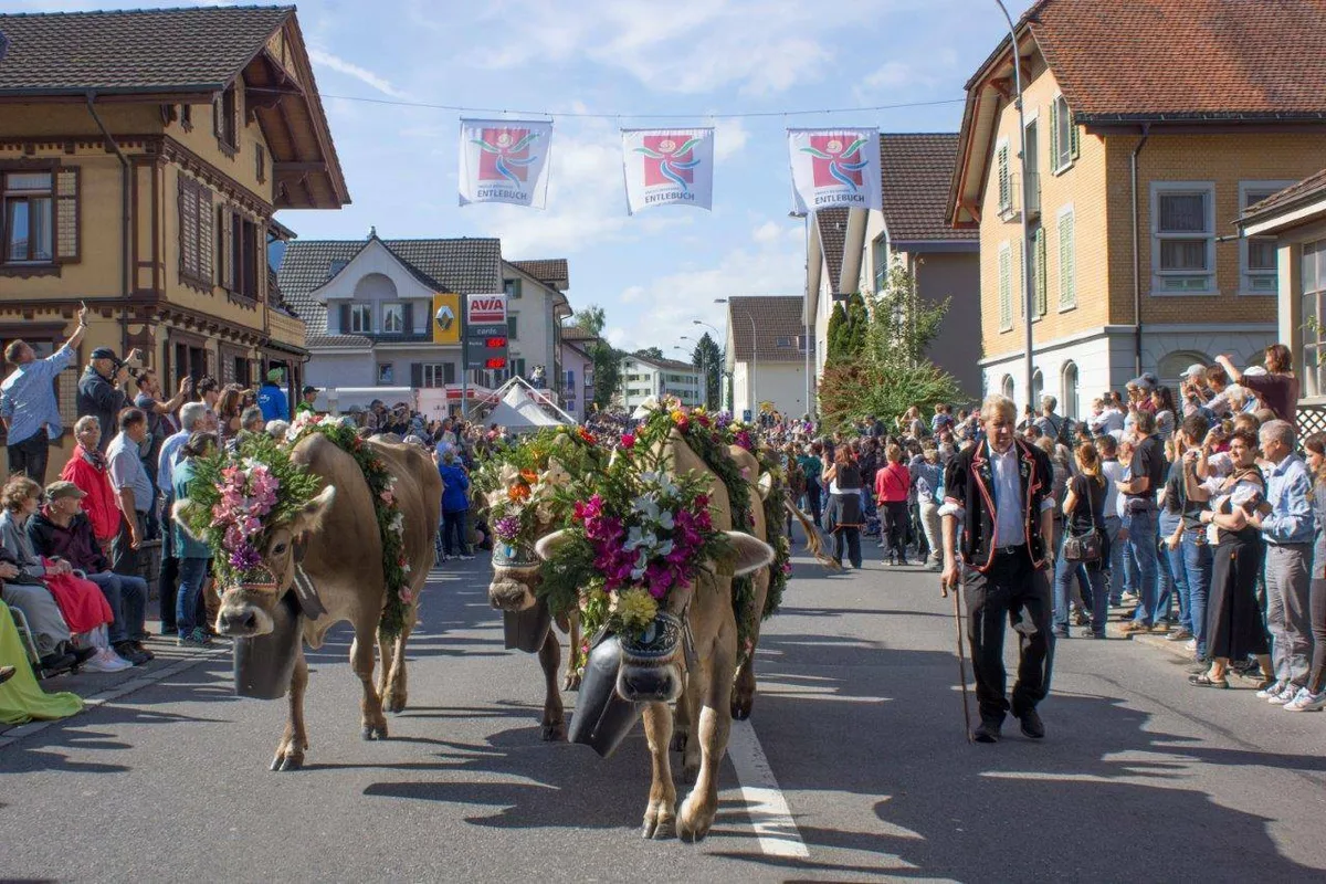 85a4b6c50a17dca904f5351be98b6e83270f2061 Solche Bilder wird man in Schüpfheim vorerst keine zu Gesicht bekommen. (Bild Entlebucher Alpabfahrt Schüpfheim)