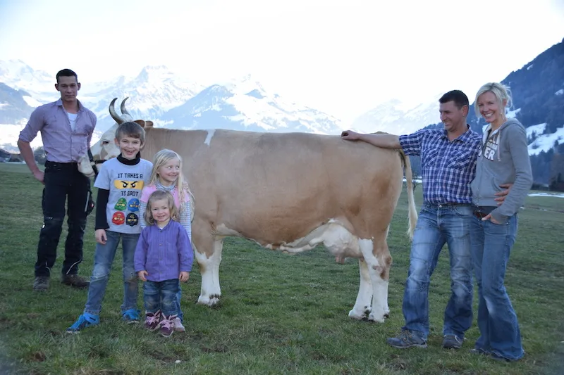 69ef857875e517677f0e15601fd2314ab05e26e7 Cordula und Matthias Scherz mit den Kindern Nik, Silia und Fenia. Am Halfter Guillaume Mercier mit der 13-jährigen Stierenmutter Roman Fabienne.