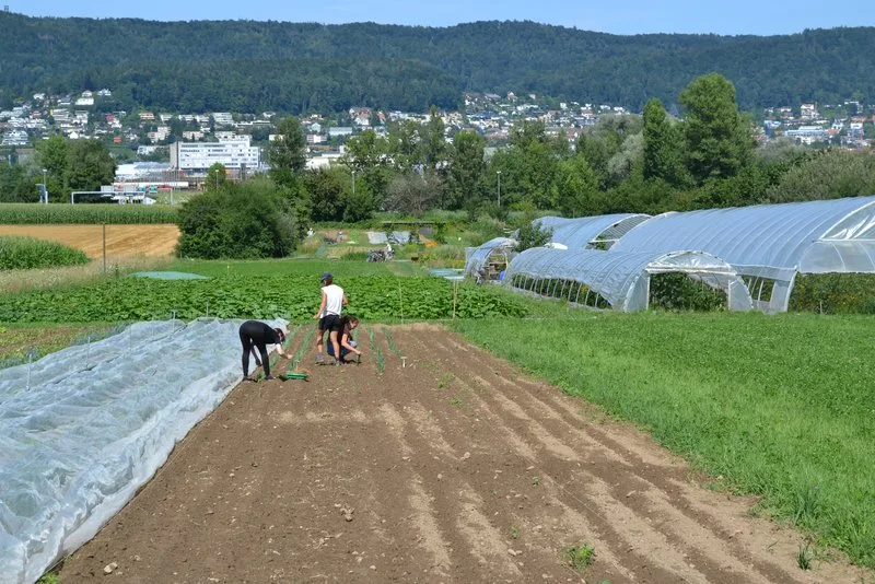 6a7c142da6c5e92de71d82383a3be3e3e1a3a623 Kleinbauern und Familienbetriebe agierten als Hüter der Agrobiodiversität. (Symbolbild jsc)