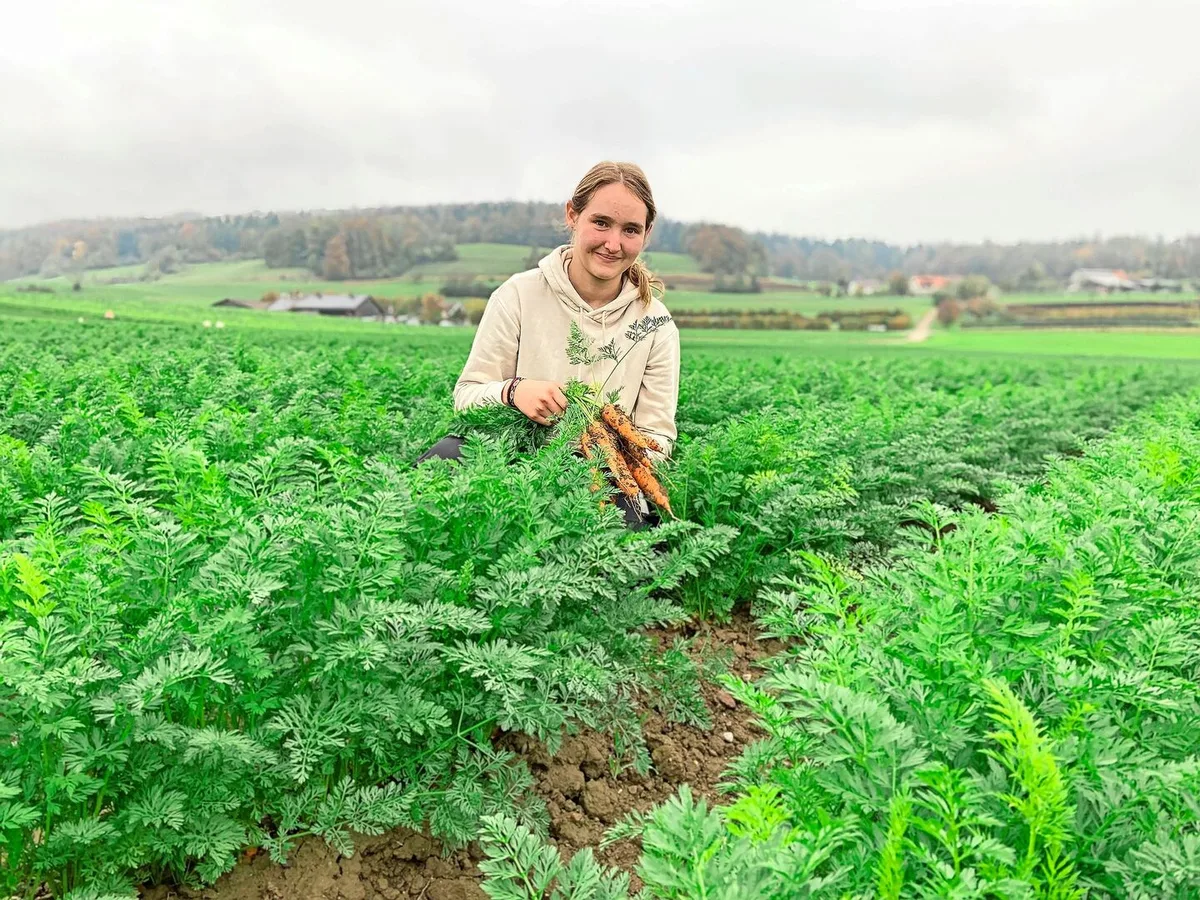 9ab40ddcd7c51f813616d85ade4f4ce42538b6f79c6e5dce983b843dc5d50934 Derzeit geben die Rüebli auf dem Lehrbetrieb von Jasmin Brunner im zürcherischen Sünikon den Takt an. Sie stammt selbst von einem Gemüsebetrieb und ist derzeit im ersten Lehrjahr.