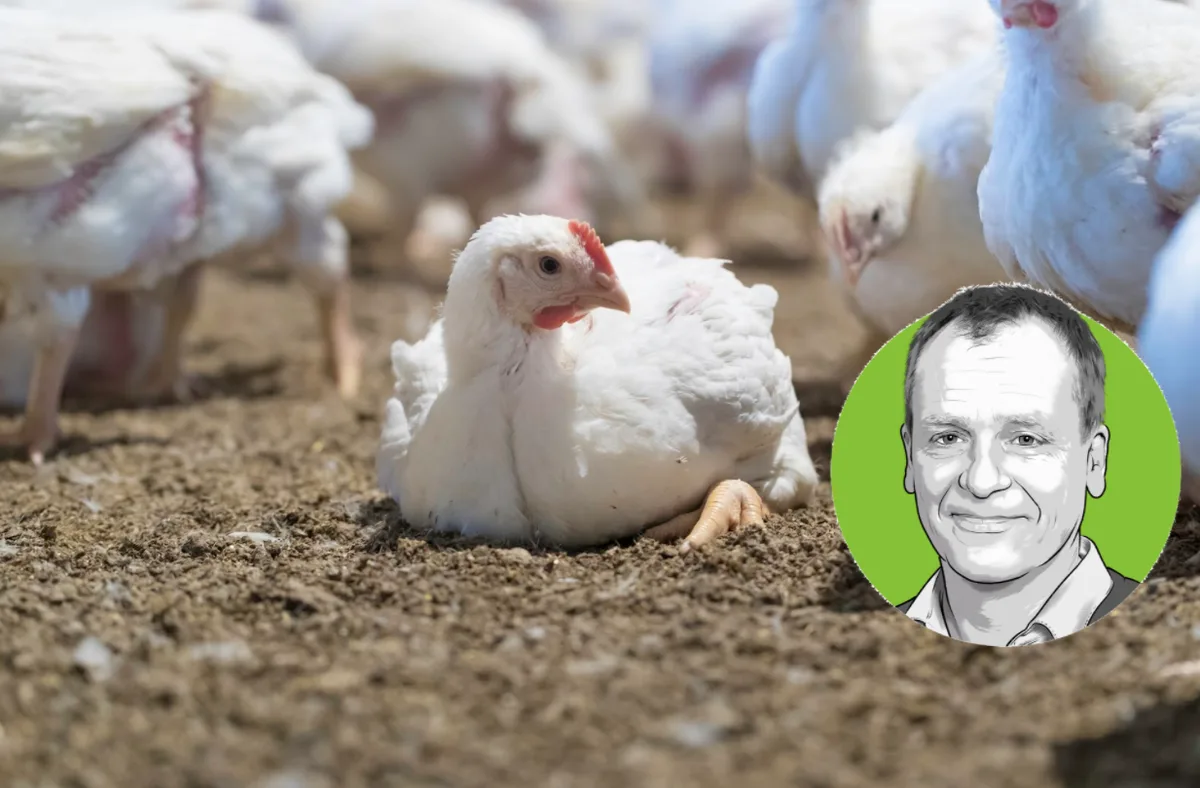 Bildschirmfoto_2022-04-21_um_15.14.30 Porträt von Adrian Waldvogel vor dem Foto eines Mastpoulets, das am Boden sitzt.