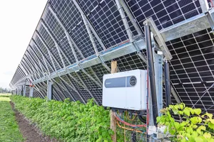 PV-Anlagen schützen bei Bioschmid die Himbeerkulturen vor Hagel und Sonnenbrand.