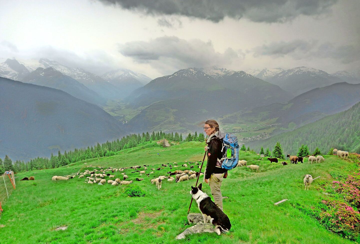 Doris Theiner ist seit sieben Jahren Hirtin und seit sechs Jahren Alpmeisterin auf der Alp Lumpegna bei Disentis. Mit dabei sind unter anderem 700 bis 800 Schafe sowie 120 Ziegen.