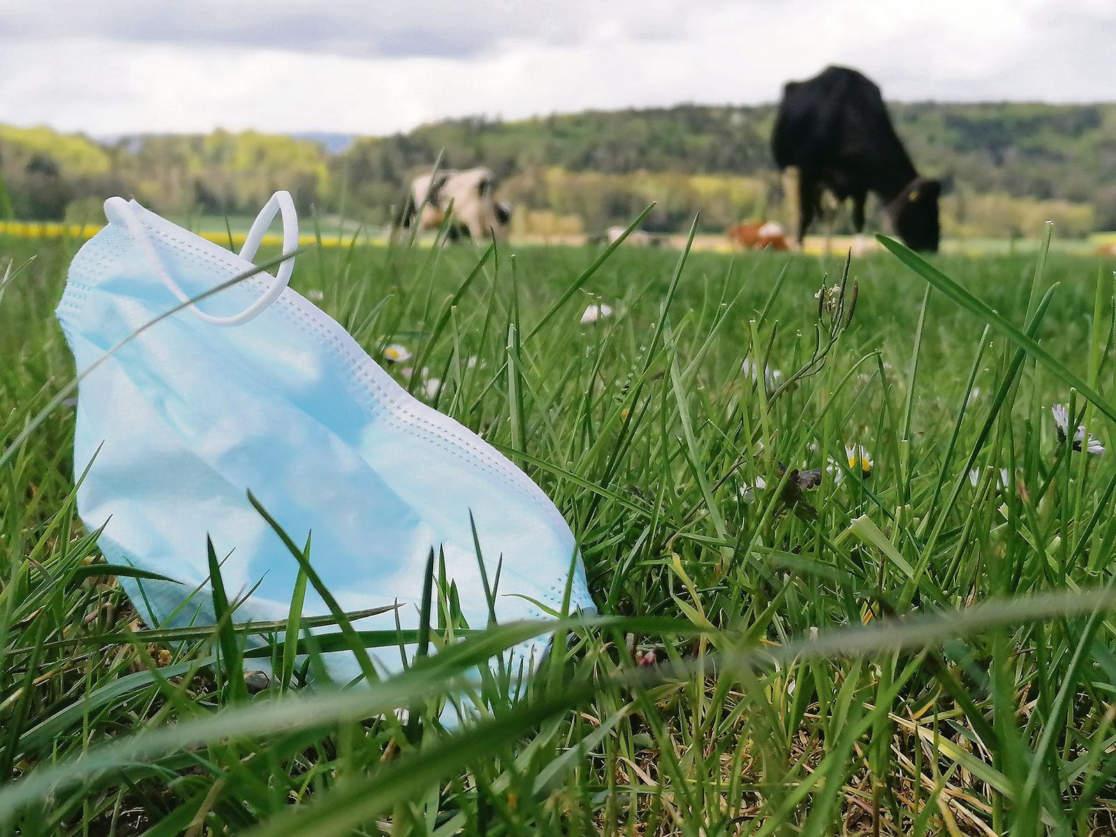 Lage beim Littering in der Schweiz hat sich deutlich entspannt
