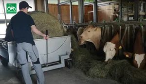 Für den Kleinbauern Robert Piribauer kommt eine grosse Fütterungsmaschine nicht infrage, weil er nur 10 Kühe besitzt. Er baute sich stattdessen selbst einen Rundballenabwickler für kleines Geld.