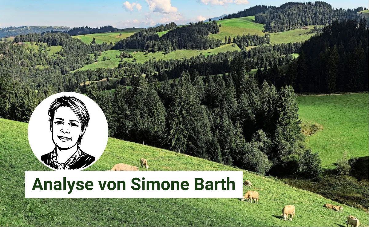 Die Lumpy-Skin-Disease darf nie Schweizer Boden berühren