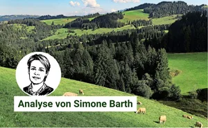 Der Schutz der gesamten Rinderpopulation in der Schweiz hat absolute Priorität. Ein einziger LSD-Fall wäre fatal.