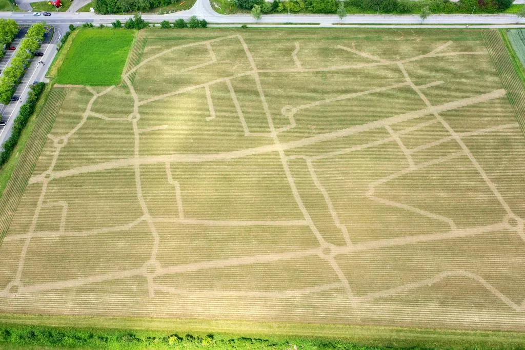 Bis zur Eröffnung am 18. Juli ist der Mais hoch genug gewachsen, dass ich grosse und kleine Besucher im Labyrinth verirren können. (Bild maislabyrith-wettingen.ch)