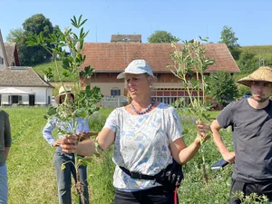 Christine Arncken arbeitet beim FiBL und zusammen mit der Gszpk an der Zucht verbesserter Lupinensorten. Auf dem Bild hält sie in der rechten Hand eine von Anthraknose befallene Weisse Lupine.