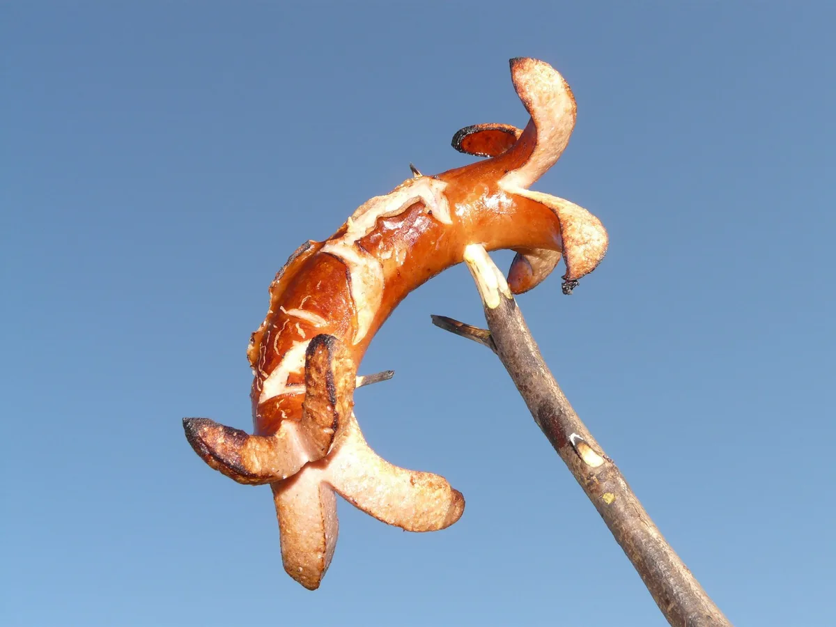 wurst_stecken Eine zentrale Hürde auf dem Weg zur Nachhaltigkeit ist deren Definition