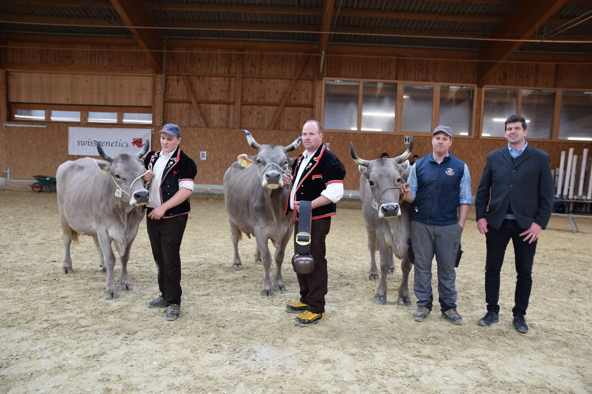 DSC_0158 Berner Braunviehschau vom Feinsten