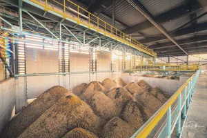 Der Ausbau von Holzheizungen führt zu einer ständig steigenden Nachfrage nach Energieholz.