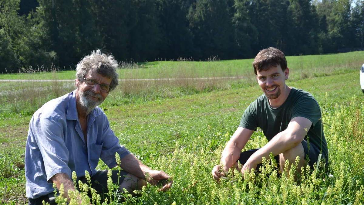 DSC_0055.JPG Johannes Burri (links) und sein Sohn Michael Burri in einem Streifen gelber Reseda. Sie ist z. B. Teil der UFA-Buntbrache-Vollversion.