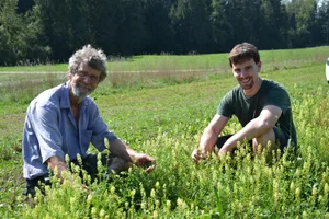 Johannes Burri (links) und sein Sohn Michael Burri in einem Streifen gelber Reseda. Sie ist z. B. Teil der UFA-Buntbrache-Vollversion.