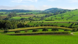 Vielfältige Landschaften, ein Mosaik an unterschiedlichen Lebensräumen für Tiere und Pflanzen und eine hohe Baukultur: Das zu erhalten sei das Ziel der Biodiversitäts-Initiative, so der Trägerverein. (Bild biodiversitaetsinitiative.ch)