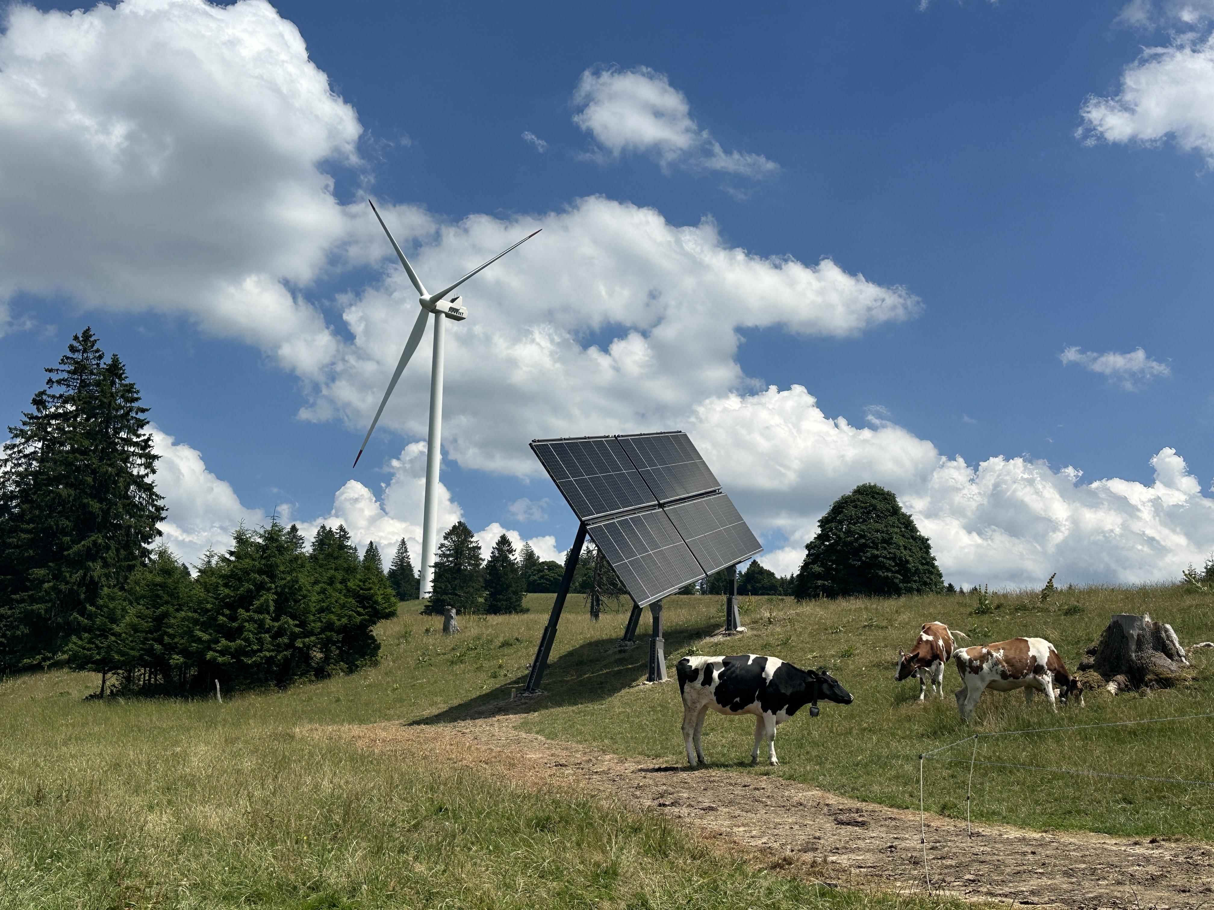 Auf den Sömmerungsflächen des Mont-Soleil im Berner Jura soll auf einer Fläche von 14 Hektaren eine PV-Anlage entstehen.