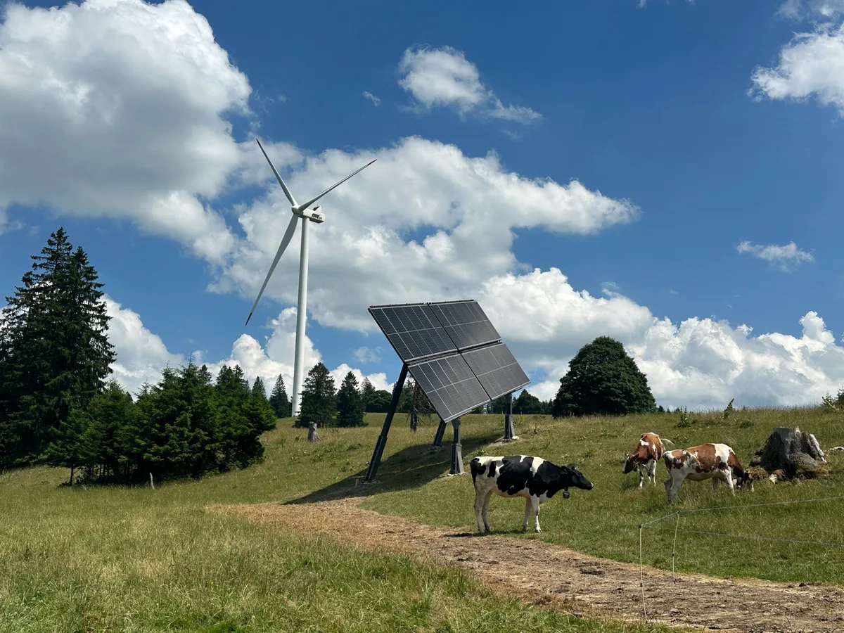 DG-2026-10-Foko-HAFL-Solar Auf den Sömmerungsflächen des Mont-Soleil im Berner Jura soll auf einer Fläche von 14 Hektaren eine PV-Anlage entstehen.