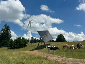Auf den Sömmerungsflächen des Mont-Soleil im Berner Jura soll auf einer Fläche von 14 Hektaren eine PV-Anlage entstehen.