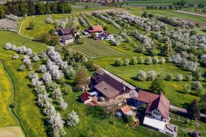 Traditionelle Obstgärten wie auf dem Betrieb Mausacker in Steinebrunn TG können produktive Agroforstsysteme sein. Die Fläche unter den Bäumen kann als Weide oder Acker dienen.