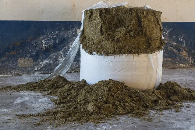 1d0aa7c142c47a60dc6ee36662c4a01f8988efb3 Gute Silage herzustellen ist eine Wissenschaft; Agridea gibt Empfehlungen. (Bild Pixabay)
