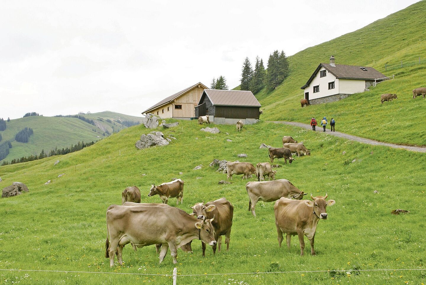 Trockenperioden führten dazu, dass Wasser auf der Schwägalp knapp wurde. Das soll sich ändern.