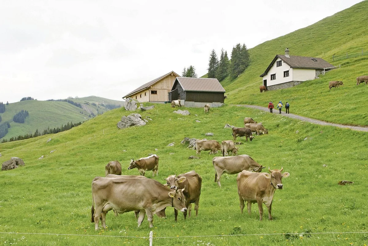 Trockenperioden führten dazu, dass Wasser auf der Schwägalp knapp wurde. Das soll sich ändern.